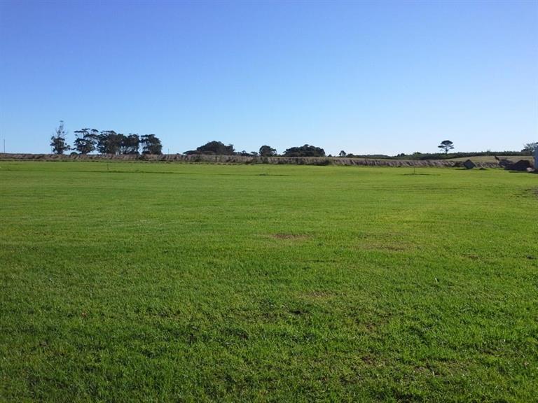 Grass Galore Port Elizabeth. Projects, photos, reviews and more Snupit
