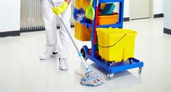 Mulalo Cleaning Team