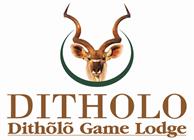 Ditholo Game Lodge