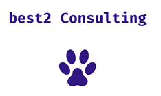 Best 2 Consulting