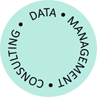 Data Management Consulting