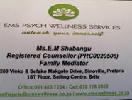 EMS Psych Wellness Services