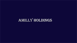 Amilly Holdings
