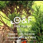 O & F Tree Felling