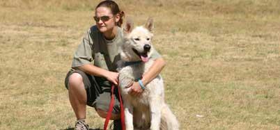 Dog Training Sandton Dog Training Sandton