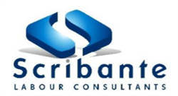 Scribante Labour Consultants