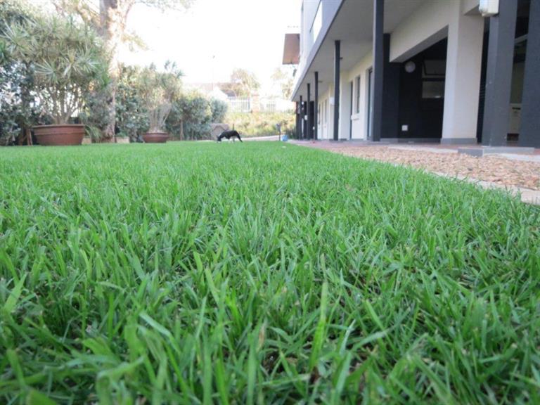 The Grass Company Durban. Projects, photos, reviews and more Snupit