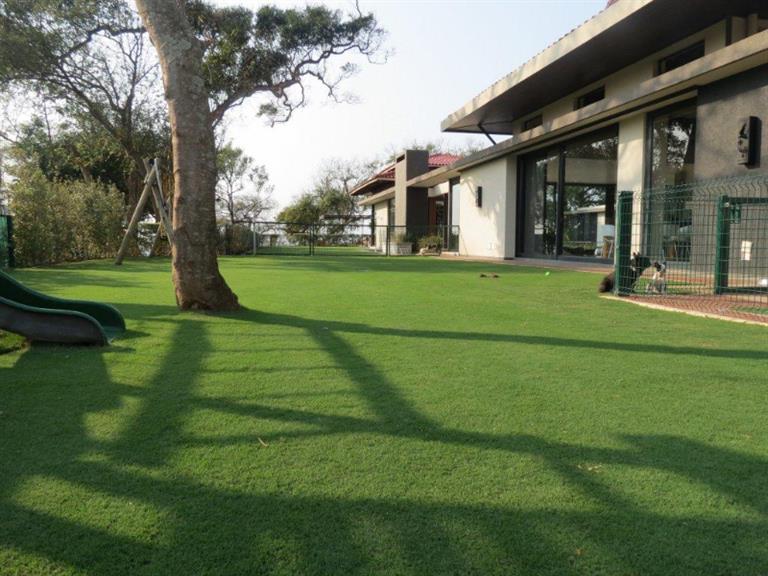 The Grass Company Durban. Projects, photos, reviews and more Snupit