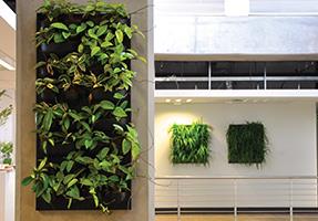 Execuflora Pty Ltd - Durban. Projects, photos, reviews and more | Snupit