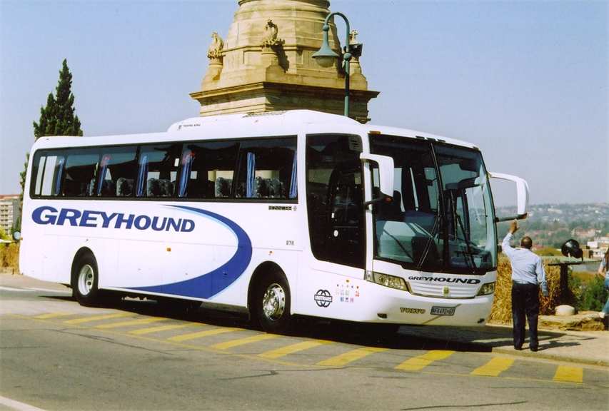 Greyhound Cape Town. Projects, photos, reviews and more Snupit