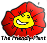 The Friendly Plant - Evergreen Place