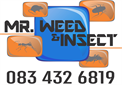 Mr Weed & Insect
