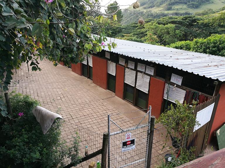 Yvonnes Kennels & Cattery Scarr Outer West Durban. Projects, photos