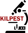 Kilpest