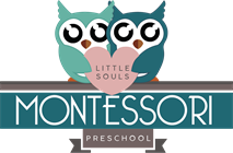 Little Souls Montessori Pre-School