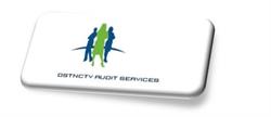 DSTNCTV Audit Services