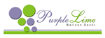 Purple Lime Balloon Decor