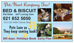 Bed & Biscuit Pet Hotel