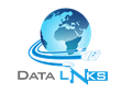 Data Links Consulting