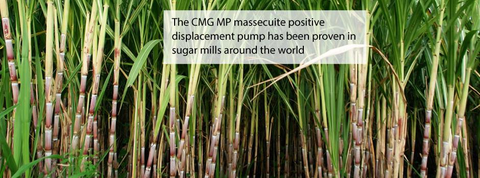 CMG Pumps Durban. Projects, photos, reviews and more