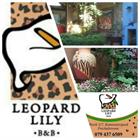 Leopard Lily Bed & Breakfast