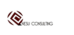 Onesu Consulting Company