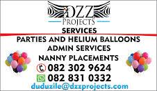 Dzz Party Planning Service