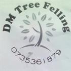 Dm Tree Felling