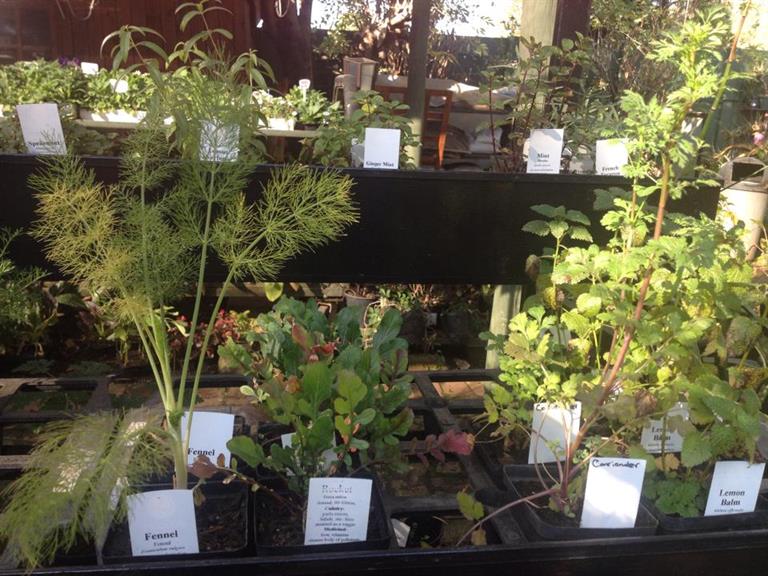 Good Thyme Living Kempton Park. Projects, photos, reviews and more Snupit