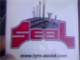 Tyre Seal