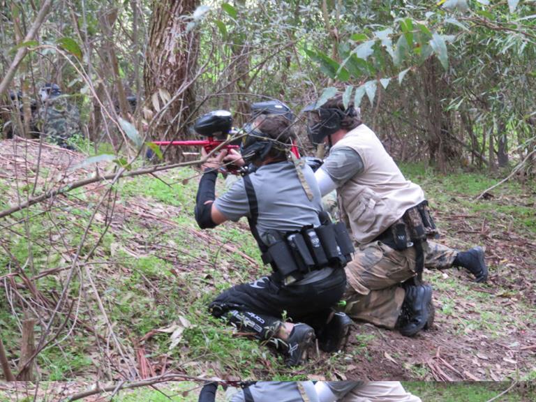 Reapers Paintball Brackenfell. Projects, photos, reviews and more