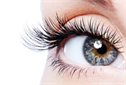 Lynnwood Lashes