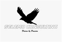 Selemo Consulting