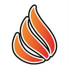 Ultimate Fire & Safety