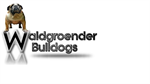 Waldgroender Bulldog Breeder