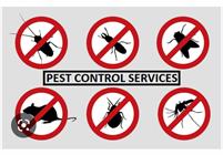 Vdk Group Pest Control