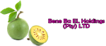Bene Ba EL Holdings