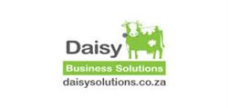 Daisy Business Solutions
