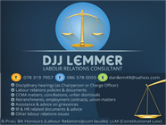 DJJ Lemmer Labour Relations Consultant