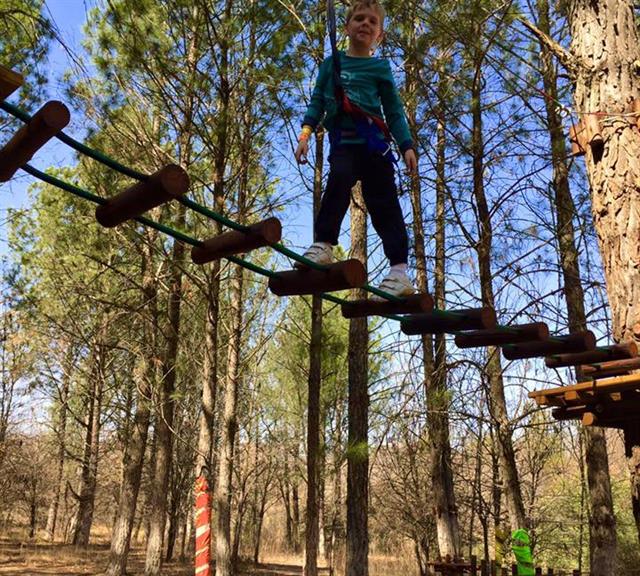 Tree Top Adventures Midrand. Projects, photos, reviews and more Snupit