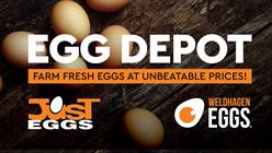 Egg Depot - Tshwane Fresh Produce Market