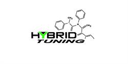 Hybrid Tuning SA
