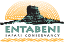 Entabeni Safari Conservancy