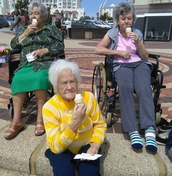 Honeysuckle Haven Port Elizabeth. Projects, photos, reviews and more