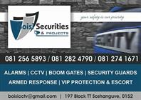 Boisi Securities and Projects