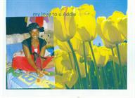 Addie Painting Contractors