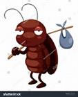 Norman Pest Control