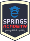 Springs E Academy