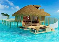Perfect Water
