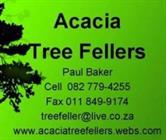 Acacia Tree Fellers